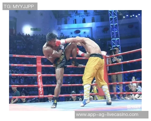 一龙与播求巅峰对决直播全程回顾精彩瞬间与赛后分析