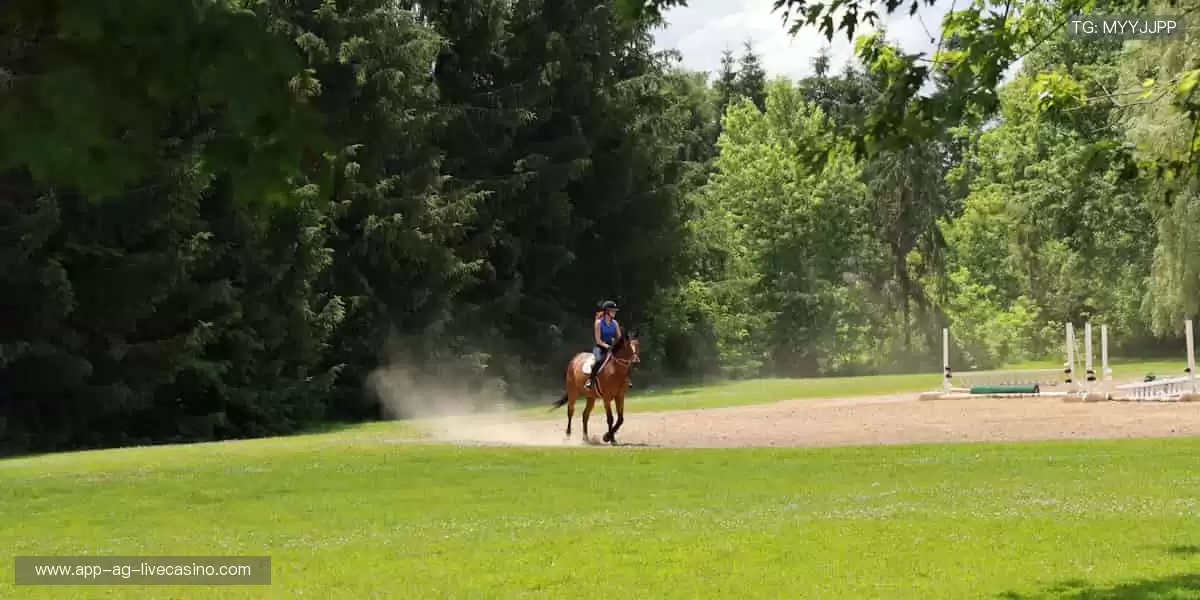 精彩瞬间，即刻拥有📸